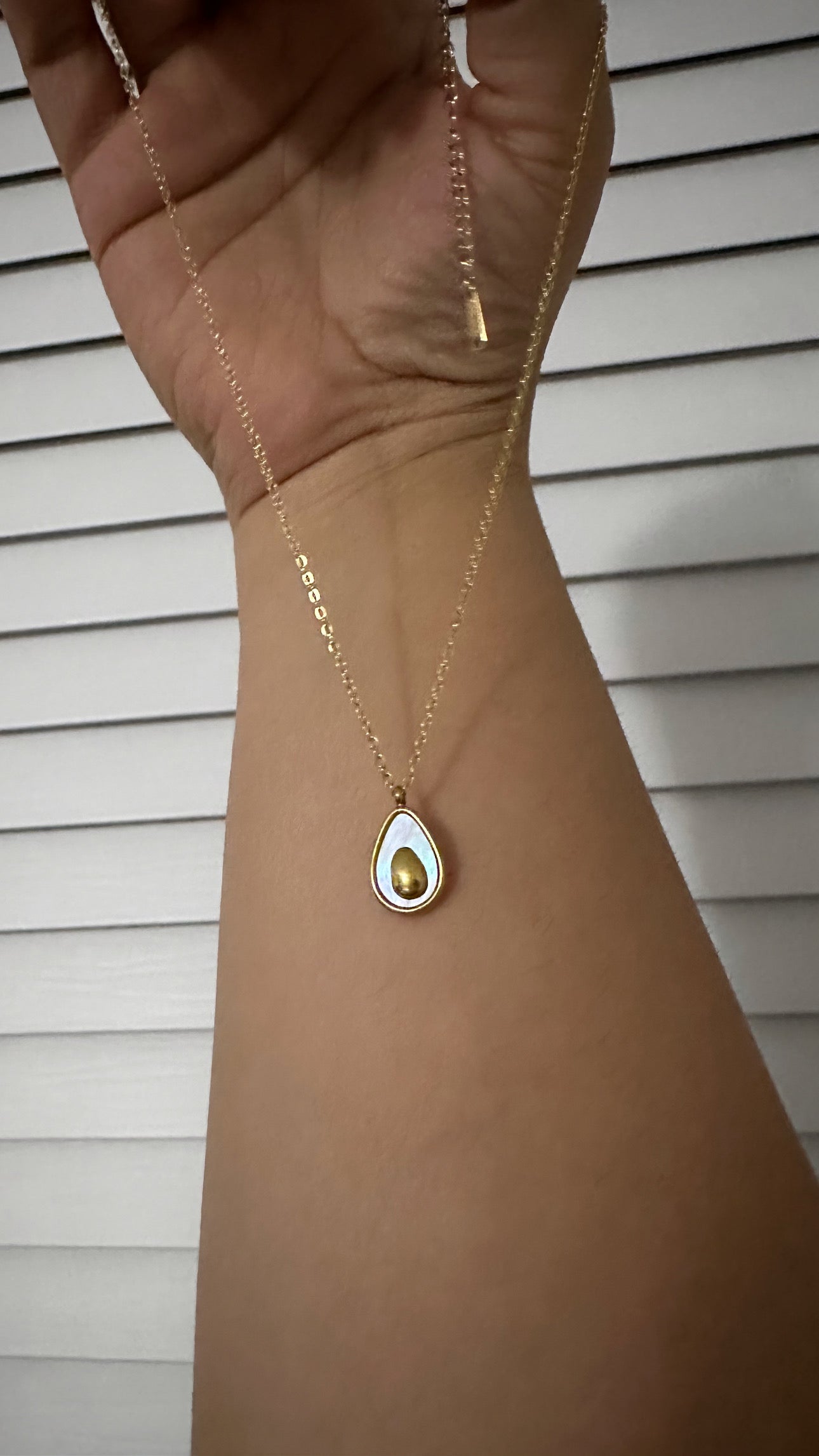 Aguacate - pearl avocado