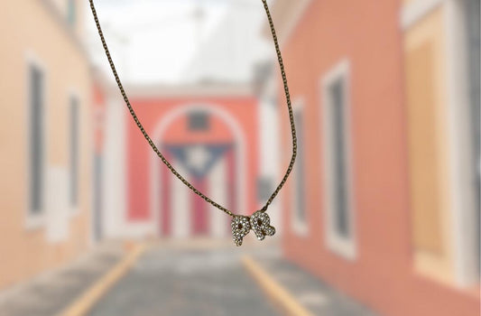 Tierra querida, PR